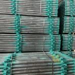 CÂY CHỐNG NÊM (GIÁO NÊM)